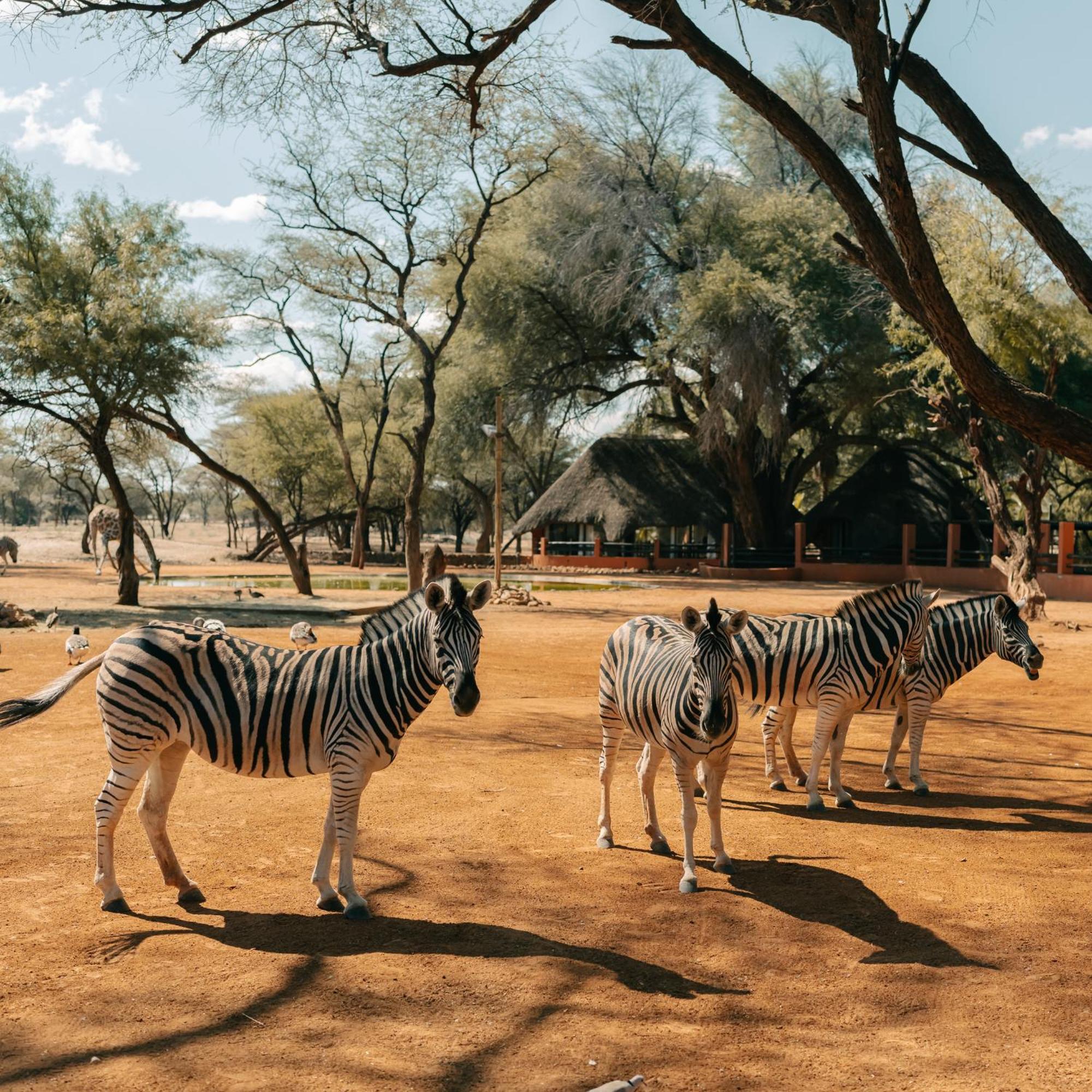 Omaruru Game Lodge Exterior photo